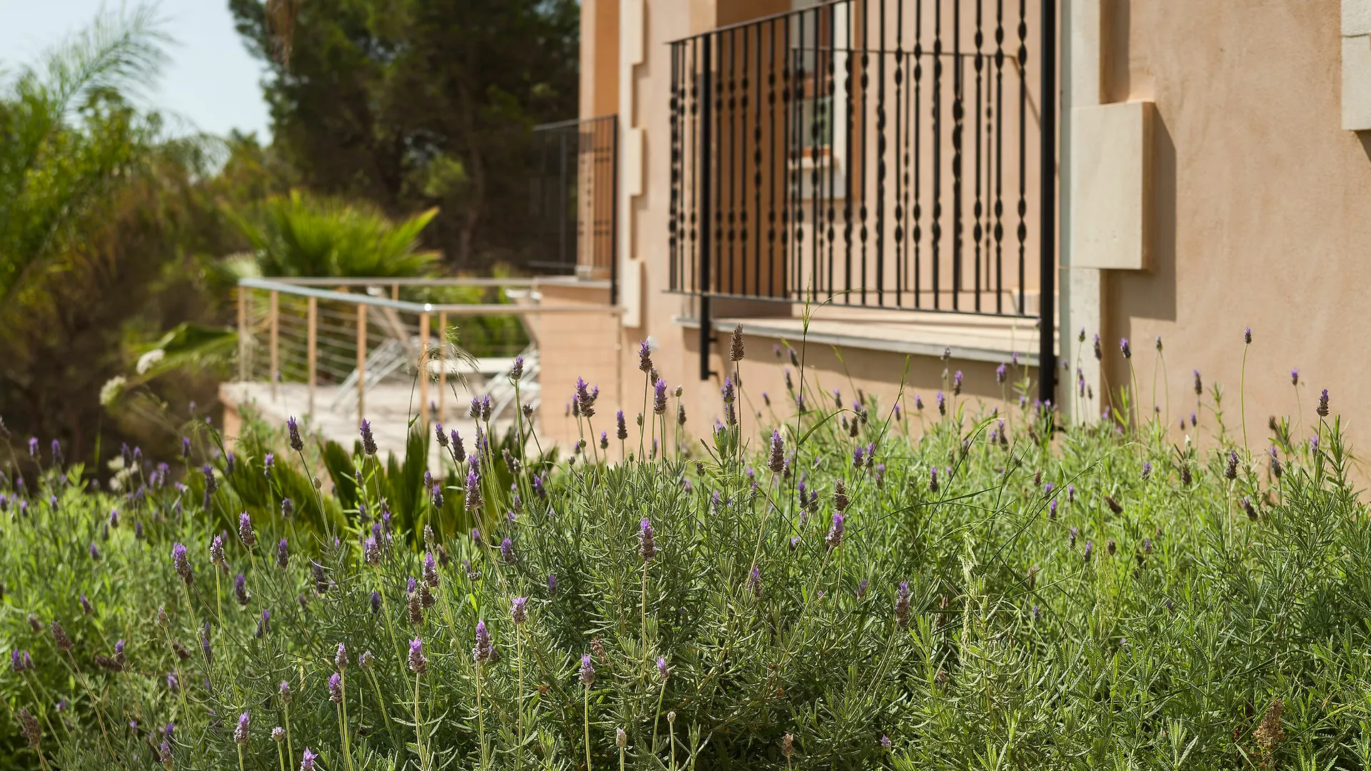 Bou Ros Finca Es Foners Fenalitx  Villa